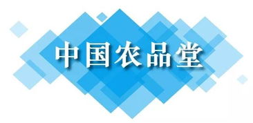 耘视电商新动作 抖音号 中国农品堂 11.11正式开通