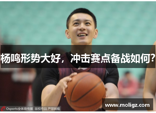 杨鸣形势大好，冲击赛点备战如何？