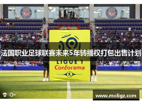 法国职业足球联赛未来5年转播权打包出售计划